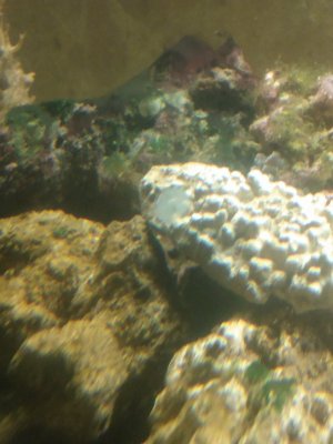 IMG_20201010_202203230.jpg