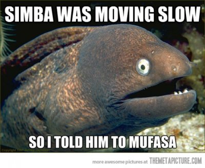 funny-Bad-Joke-Eel-Meme-Mufasa.jpg