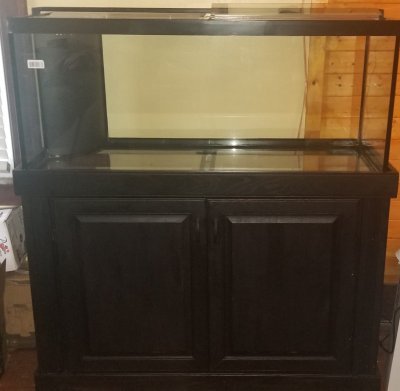 Current 75 gallon with stand from 90.jpg