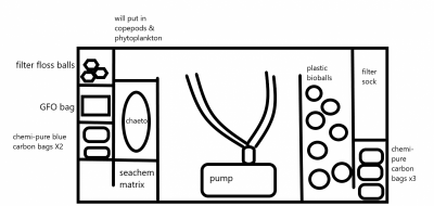 Tank filter setup.png