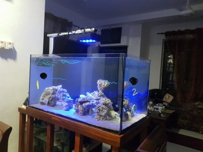 where to place wavemaker in saltwater aquarium where to place wavemaker in saltwater aquarium