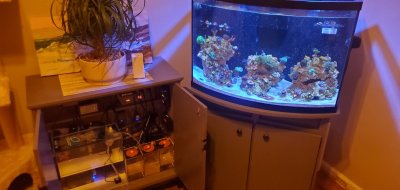20201102_194545.jpg