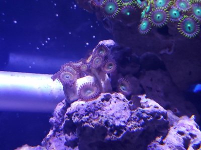 20201104_205547.jpg
