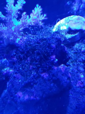 20201102_175734.jpg 20201102_175734.jpg