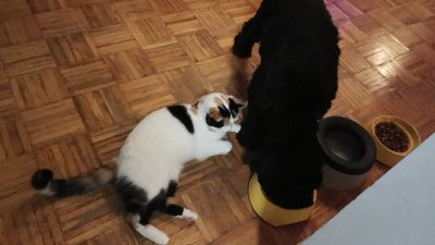 IMG_20201104_212815.jpg