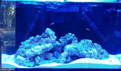 20201114_141642.jpg