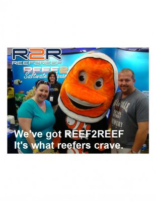 RAP we have reef2reef.jpg