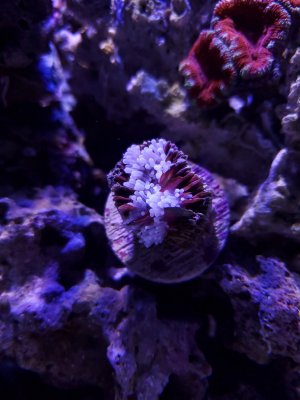20201117_214055.jpg 20201117_214055.jpg