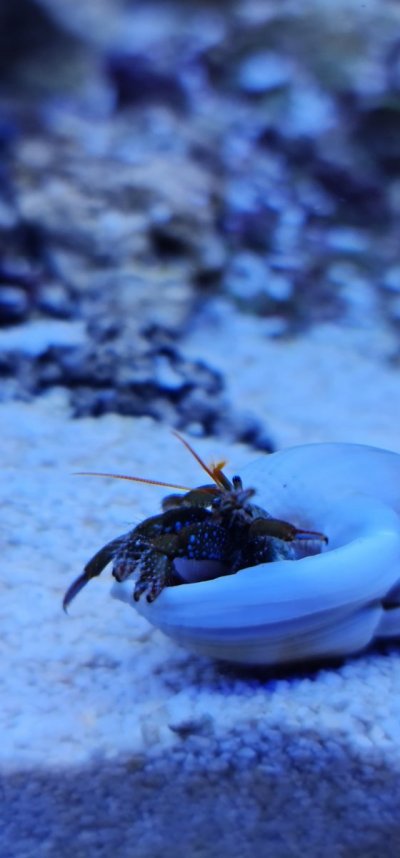 Screenshot_20201118-174155_Gallery.jpg