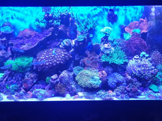 20201029_175114.jpg