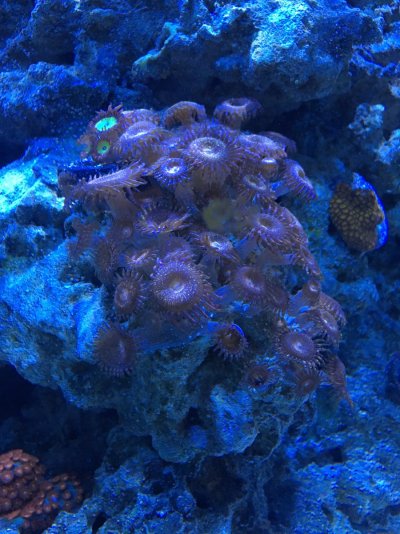 IMG_8100.JPG IMG_8100.JPG