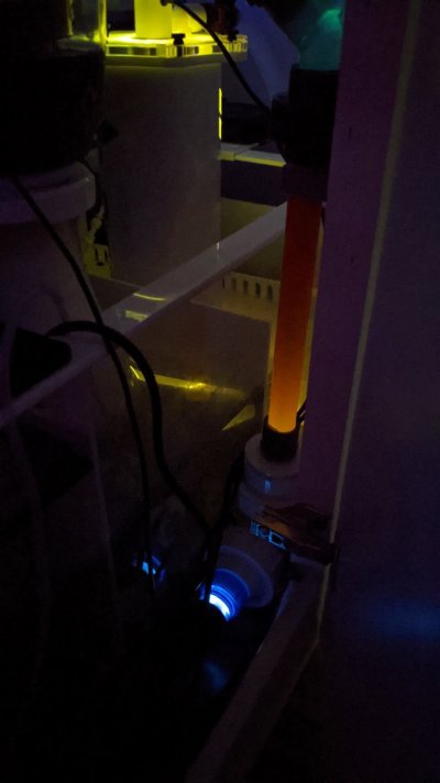 PXL_20201125_080903423.MP.jpg