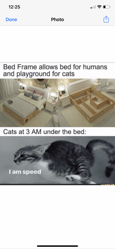 50B9B8AD-76EC-4E62-93EA-AE321B77F66E.png