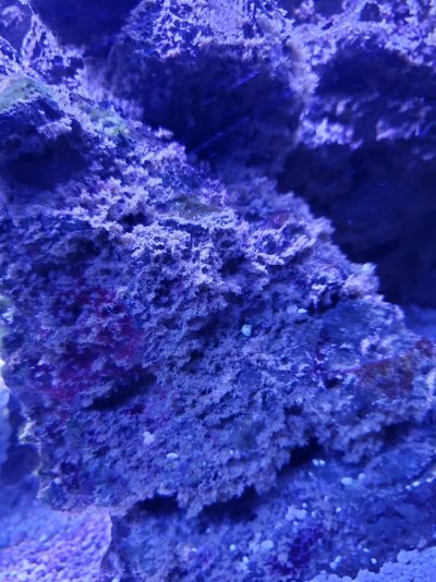 20201128_180648.jpg