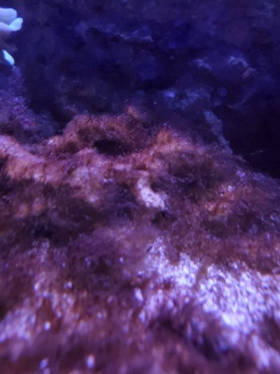 20201207_135458.jpg