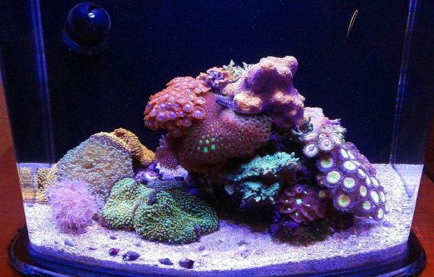 12g FTS_080720.jpg 12g FTS_080720.jpg