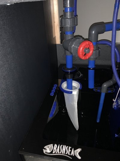 IMG_8145.jpeg IMG_8145.jpeg