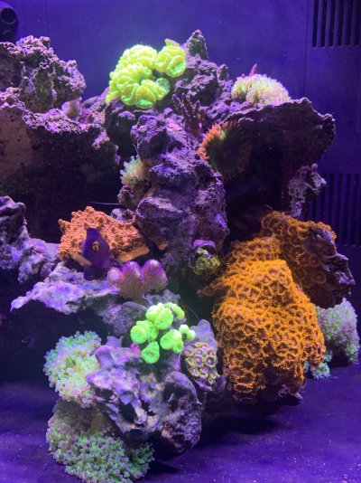 IMG_8202.jpeg IMG_8202.jpeg