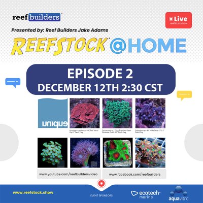 1000-Unique-Corals-ReefStock@Home-Graphics-01.jpg