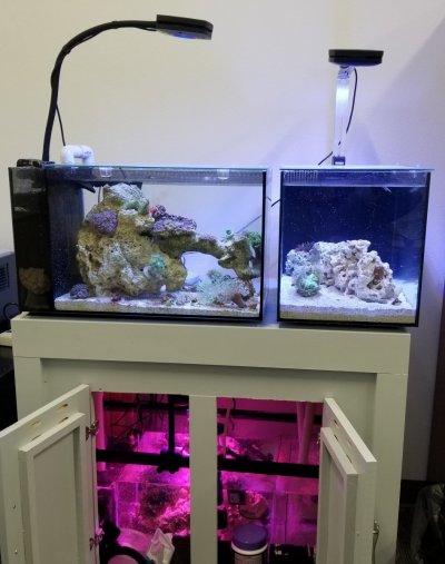 20201210_083104.jpg