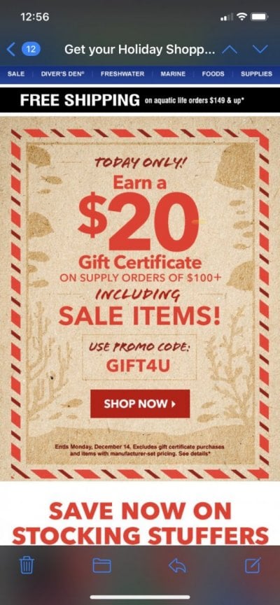 Get your Holiday Shopping Done and Receive a FREE $20 Gift  Certificate!.jpg