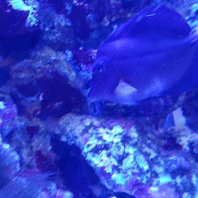 20201218_195141.jpg