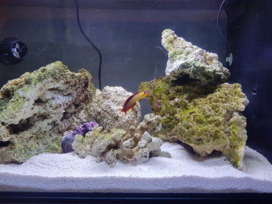20201220_155527.jpg