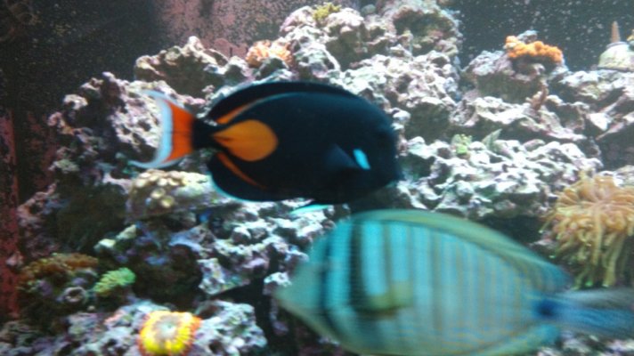 IMG_20201220_132849642.jpg