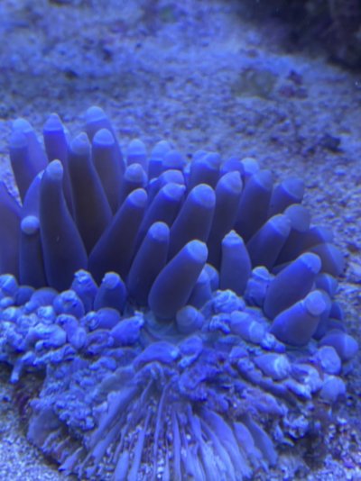 2E510E65-B2D2-459F-BF16-44EB0B7445DD.jpeg 2E510E65-B2D2-459F-BF16-44EB0B7445DD.jpeg