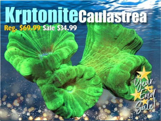 2020YEKryptonite_2000x.jpg 2020YEKryptonite_2000x.jpg