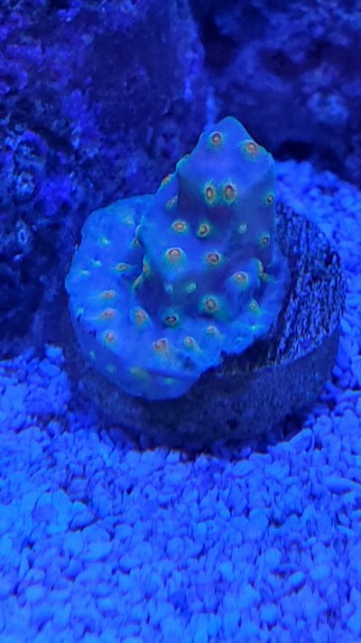 20201224_104730.jpg