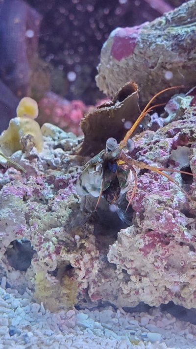 20201224_140846.jpg 20201224_140846.jpg