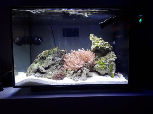 20201228_185401.jpg