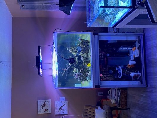 reef.jpg reef.jpg