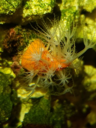 20201230_032920.jpg