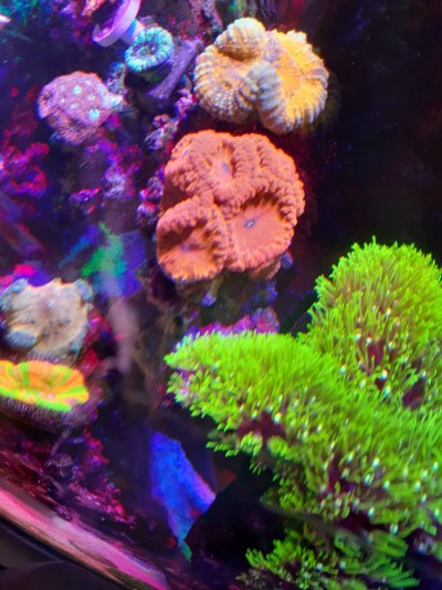 20201228_194543.jpg 20201228_194543.jpg