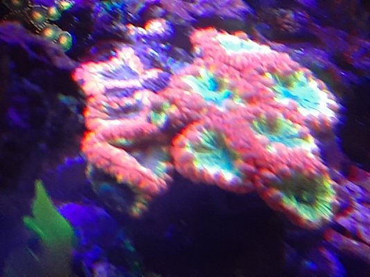 20201228_194941.jpg 20201228_194941.jpg
