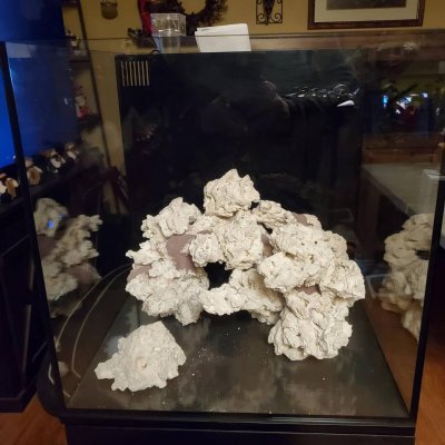 40g11.jpg 40g11.jpg