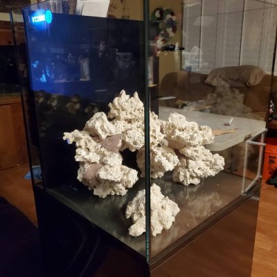 40g10.jpg 40g10.jpg