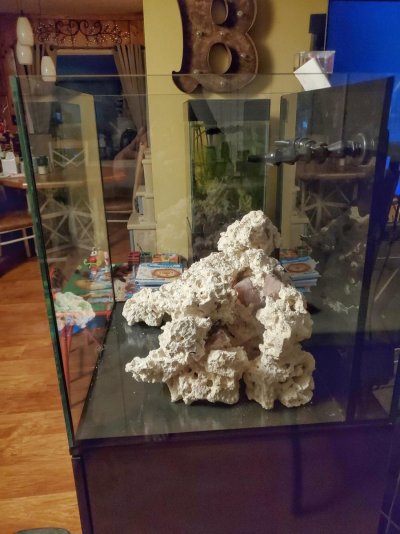 40g12.jpg 40g12.jpg