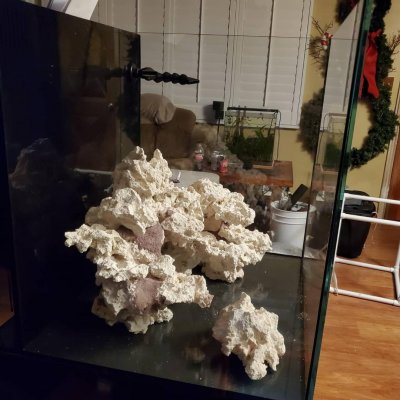 40g13.jpg 40g13.jpg