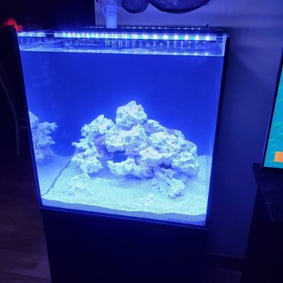 40g16.jpg 40g16.jpg
