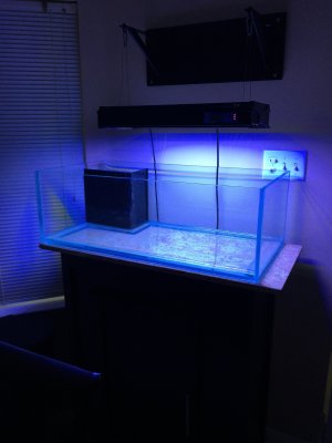40 gallon rimless lagoon