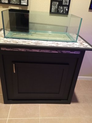 40 gallon rimless lagoon
