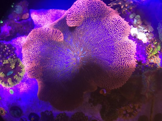 7800F762-560A-48F7-9037-D55560812C5D.jpeg