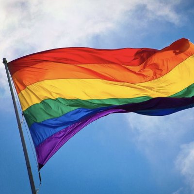 rainbow flag profile.jpg