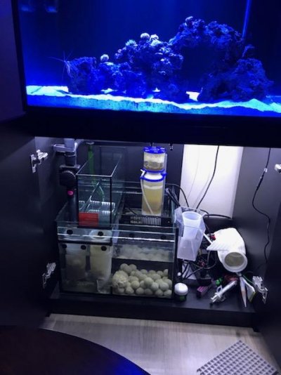 B20E0ECE-5EF6-4F41-A8F6-5E98CDFAF387.jpeg B20E0ECE-5EF6-4F41-A8F6-5E98CDFAF387.jpeg