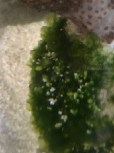 thumbnail_IMG_1874.jpg thumbnail_IMG_1874.jpg