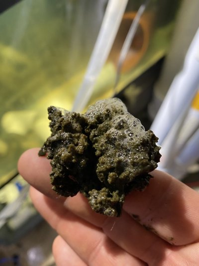 63A6795E-D61C-47BB-ABE7-08A4F3F81D8E.jpeg