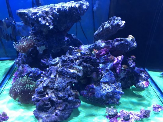 04BAFA25-FADA-4D1D-9A99-A7593F552128.jpeg